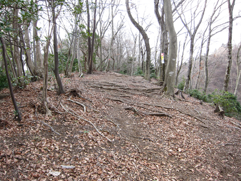 20200204hike (116)